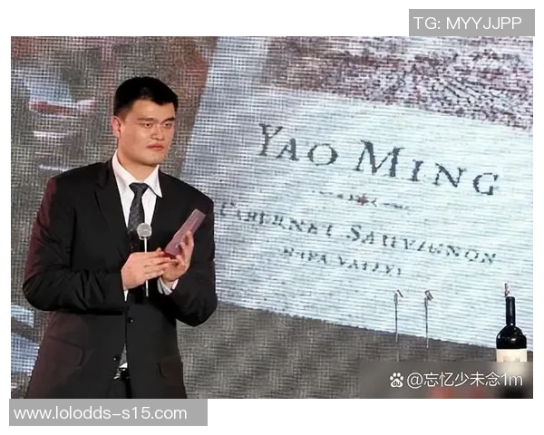 姚明与邓肯的篮板对决：谁才是NBA历史上的篮板王者