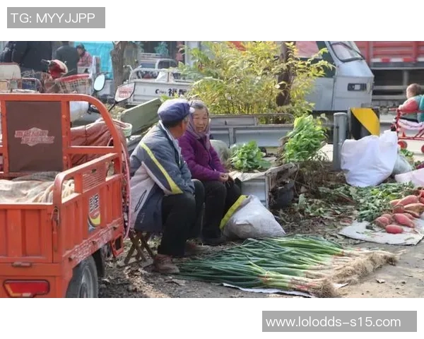 桐柏姚明明的奋斗故事与乡土情怀交织的青春岁月